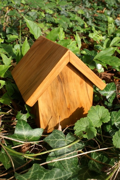 Petite boîte maison