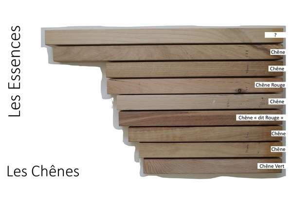 Echantillons de chêne