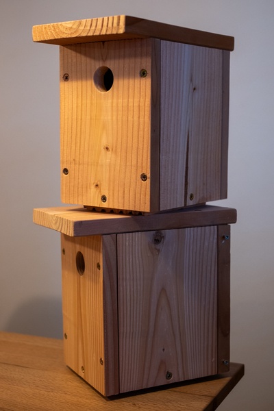 Appartements de location