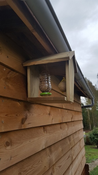 Une tabane pour les zoiseaux