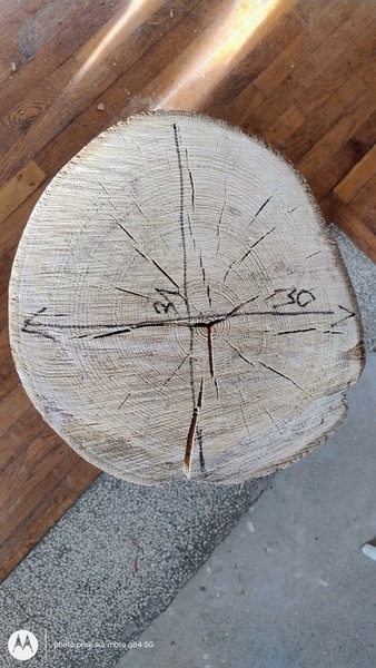 Recherche atelier pour débiter 2 billots de tilleul en plateaux