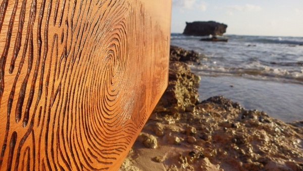 Digitale, juste une trace...