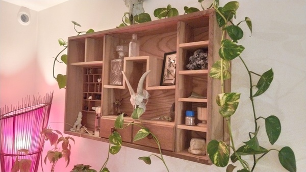 Cabinet de curiosité