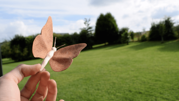 Fabriquer un papillon en bois