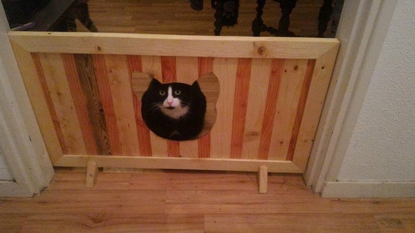 Barrière pour chiens, passage pour chat