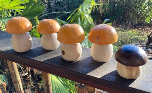 Champignons « boule d’or »