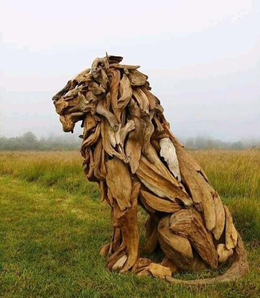 Le Lion de Jeffro Uitto
