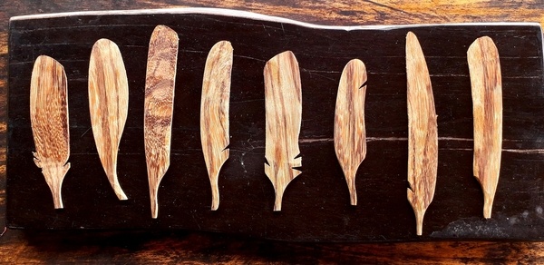 Plumes, elles coulent ...