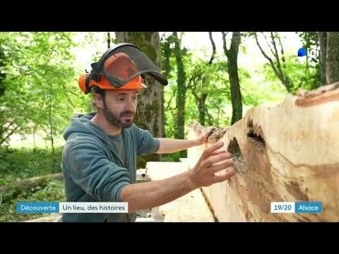 Reportage sur l'atelier daiku - élagage, scierie mobile, menuiserie