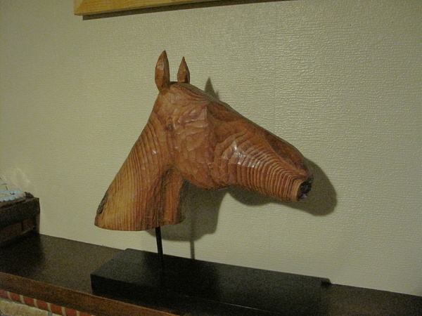 Tête de cheval