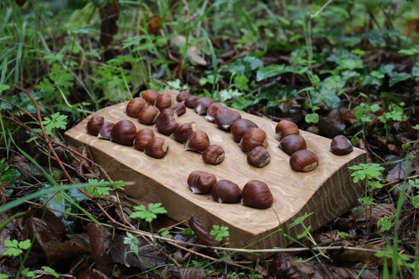 Support à châtaignes