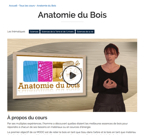 Anatomie du Bois