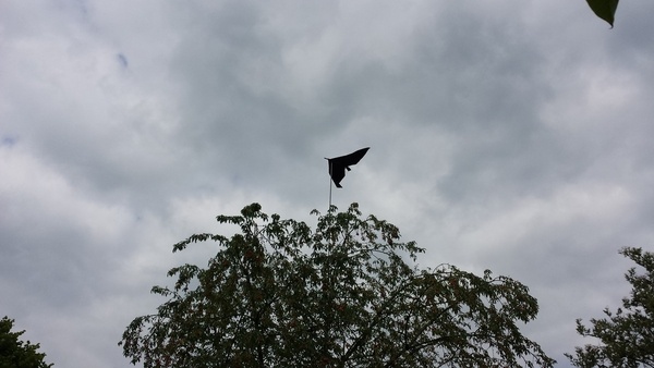 Prototype épouvantail pour cerisier