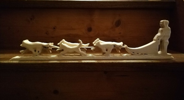 Attelage chiens de traineaux