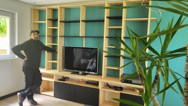 Meuble TV/Bibliothèque