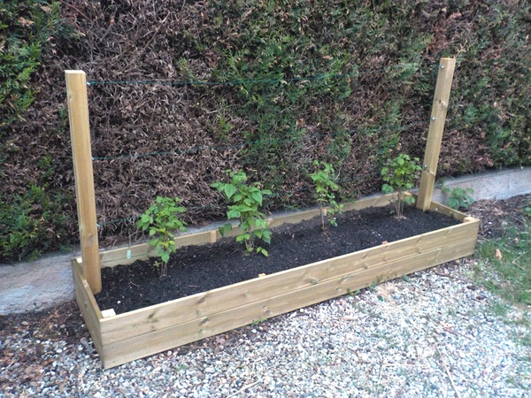 Bac pour framboisiers