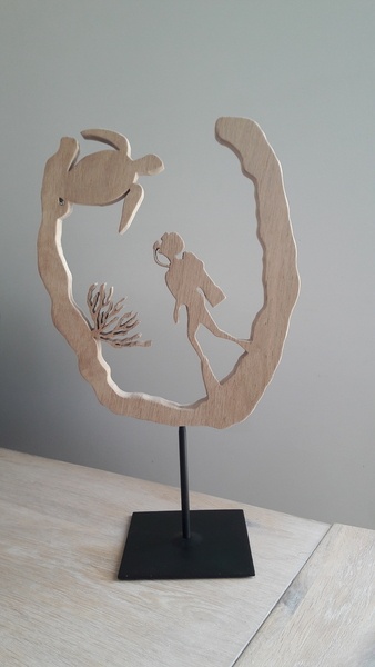 Tortue de mer observée