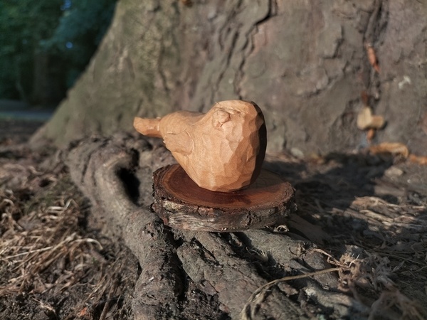 Phoque qui dit tchômi