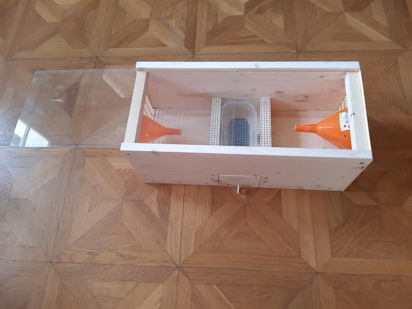 Piege sélectif à frelons asiatiques (Type "Boîte à cones")