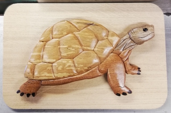 Une tortue en intarsia