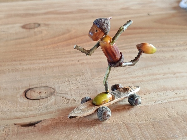 Un gland en skate