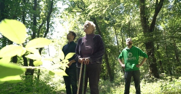 Reportage TV : Sur le front des forêts françaises
