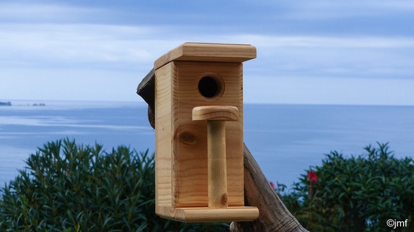 La cabane pour oiseau de 10x20 en pin