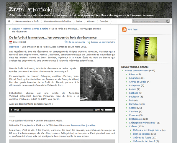 Le cueilleur d'arbres