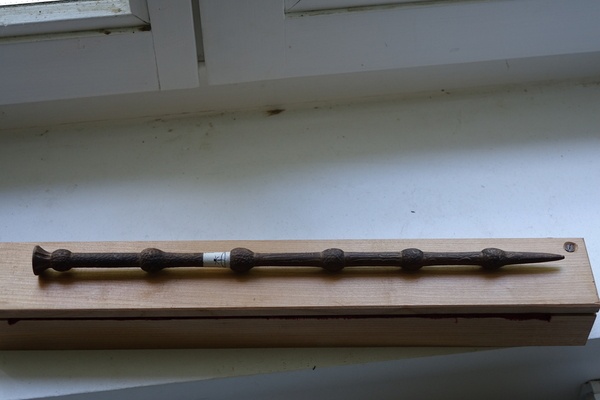 La Baguette de sureau (un peu de magie )