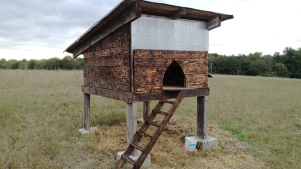 Poulailler rustique