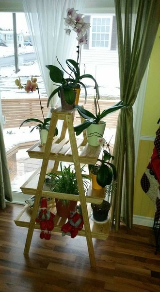 Étagère à plantes