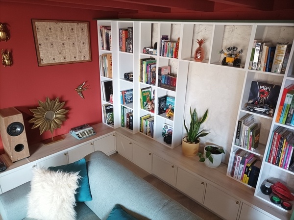 Meuble TV & bibliothèque