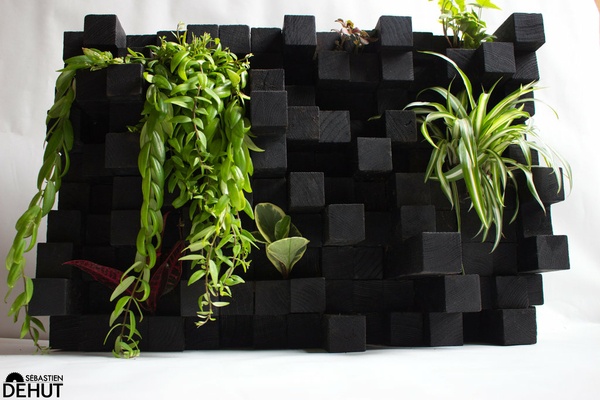 Décoration murale vivante