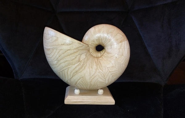 Un nautile en bois au tour