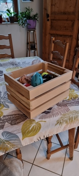 Caisse jouets  du chien