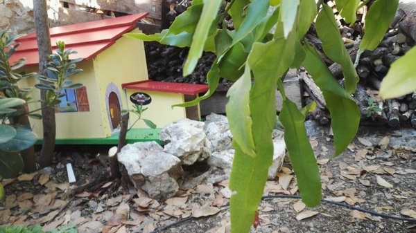 La maison de Georges