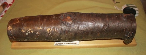 Préparation Noël, bûche surprise