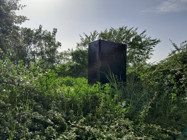 Mouvement perpétuel quantique™