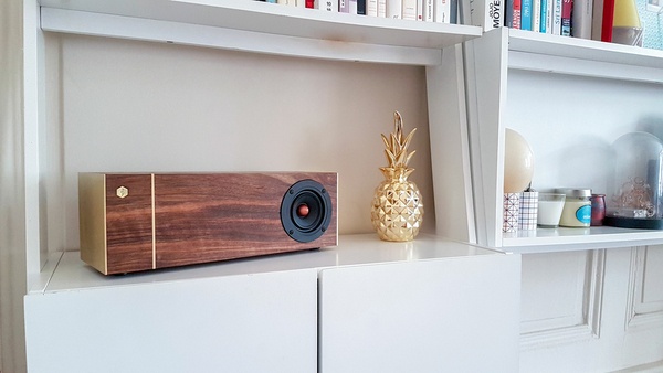 Enceinte en noyer et laiton