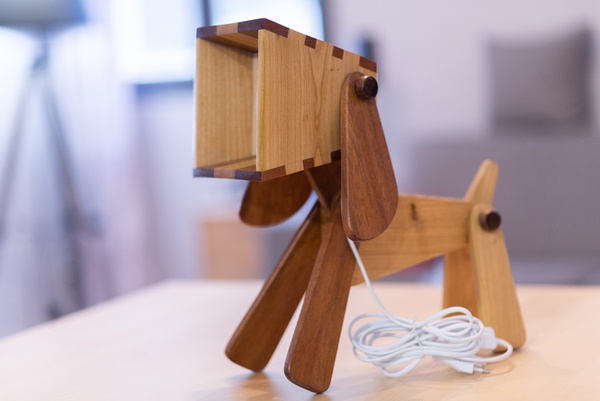 3 chiens qui éclairent.