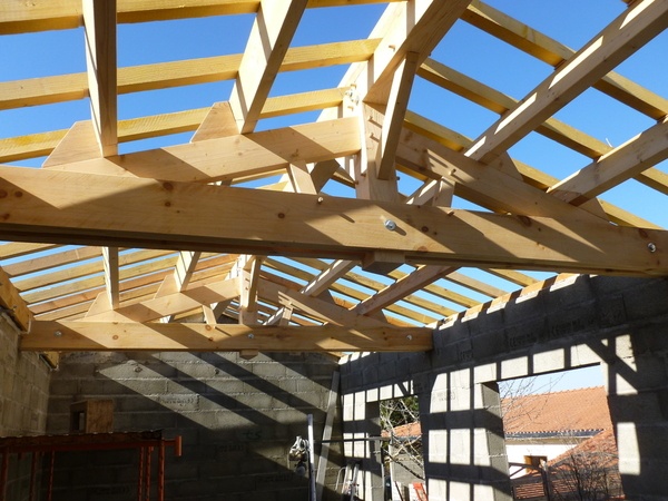 Ma première charpente