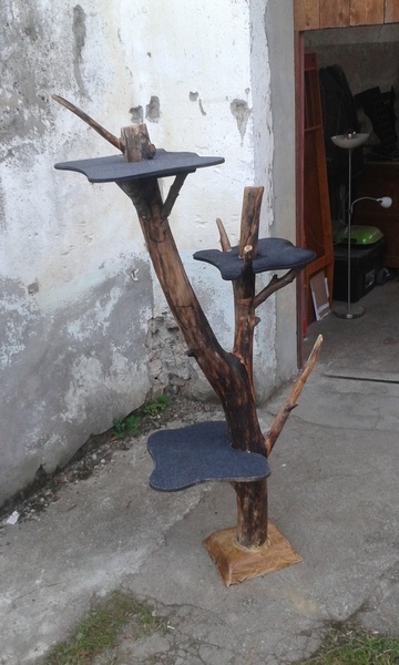 Arbre à chat.