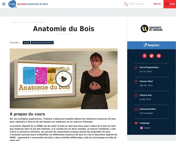 MOOC Anatomie du bois