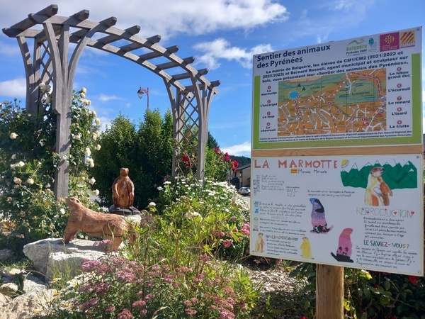 Le chemin des animaux