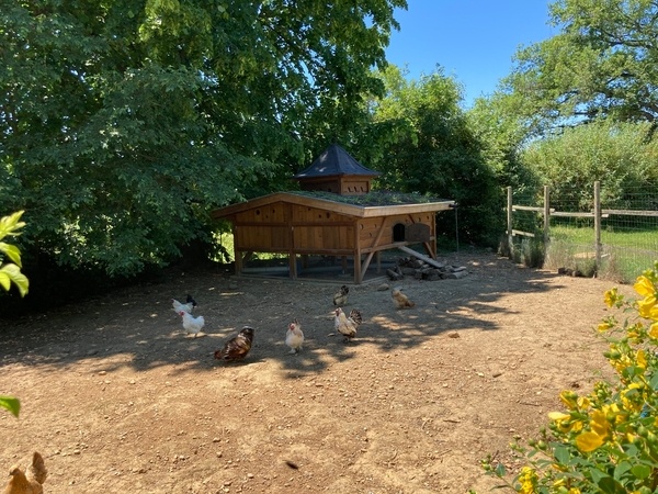 Poulailler « deluxe »