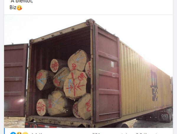 Prix du bois qui augmente = scierie qui ferme > Pétition FNB