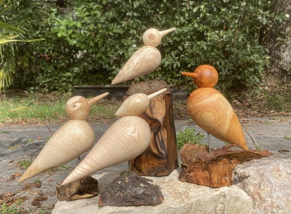 Mes premiers oiseaux au tour à bois