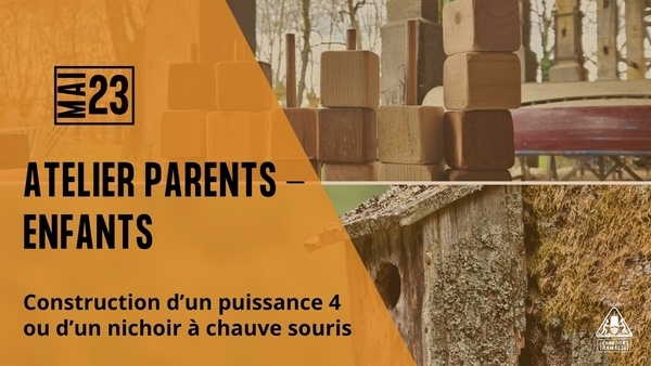 Atelier : créez un Puissance 4 ou un nichoir en bois !