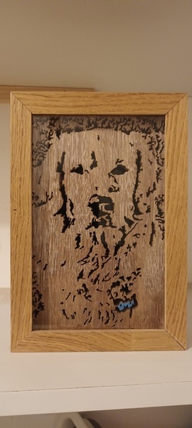 Light Box Golden Retriever