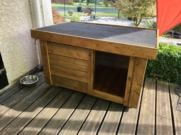 Niche de chien contemporaine